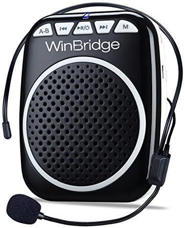 Winbridge WB001 voice amplifier