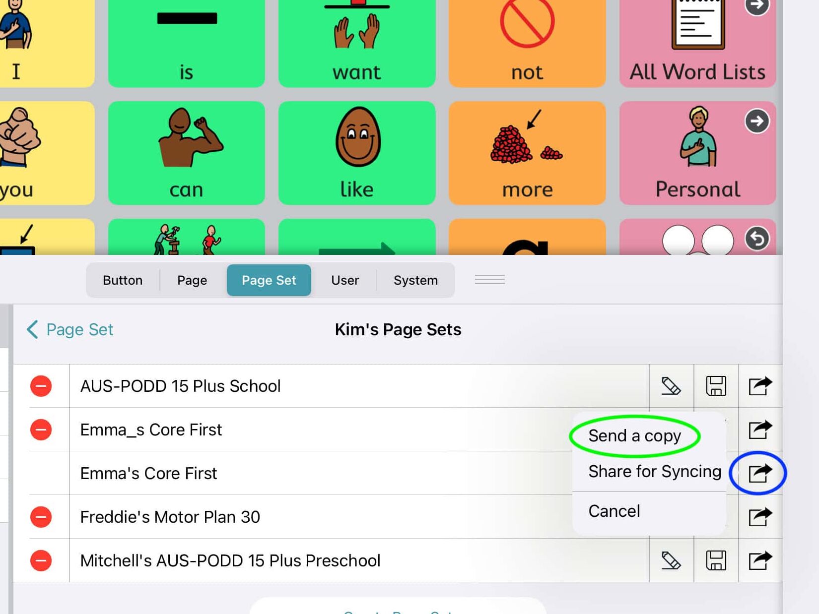 A screen shot of the Motor Plan 30 page set in the TD Snap app displayed on an iPad. The settings menu pop up is displayed showing the different page sets.