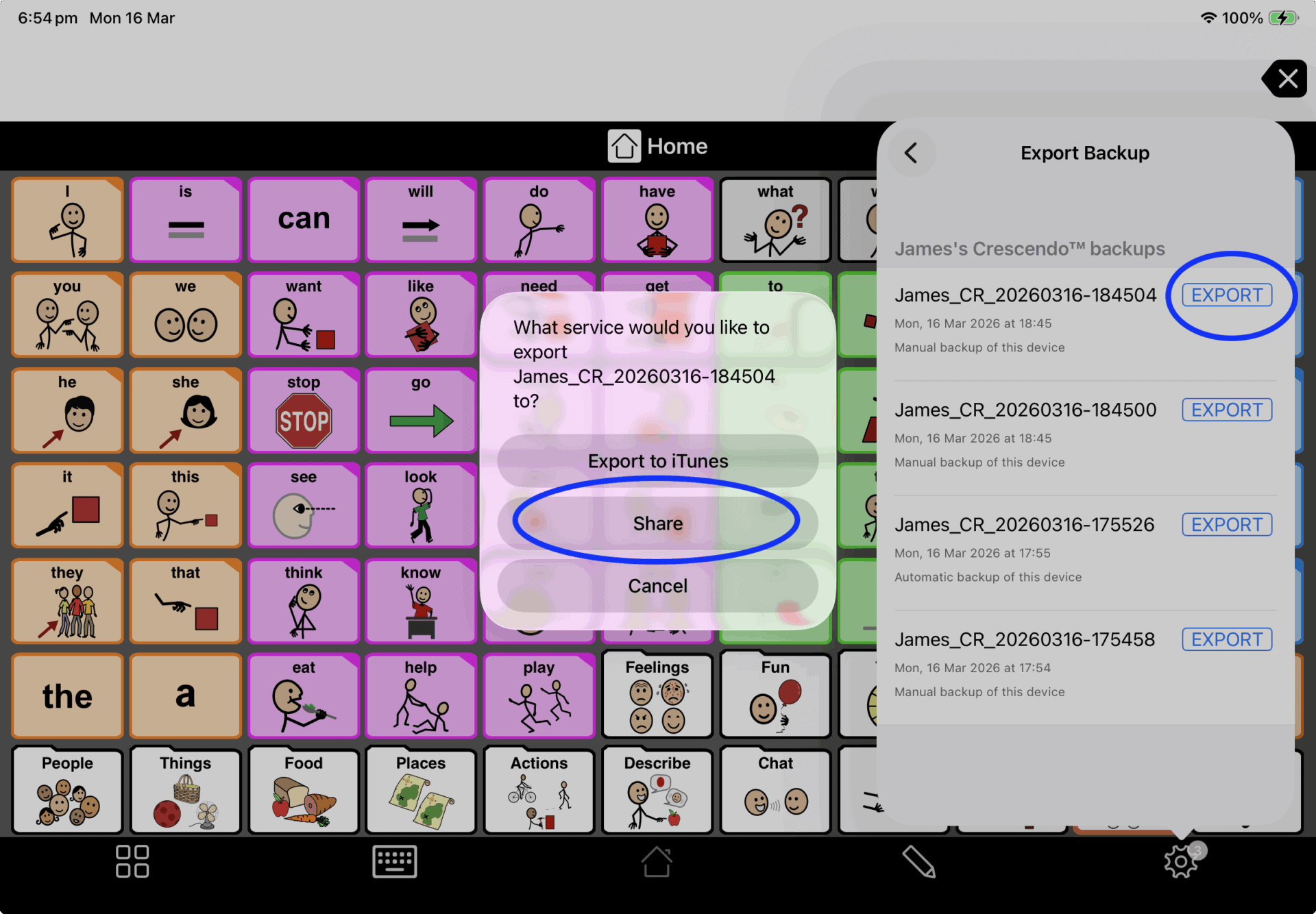 Screenshot of the Export Backup menu within the Proloquo2go app