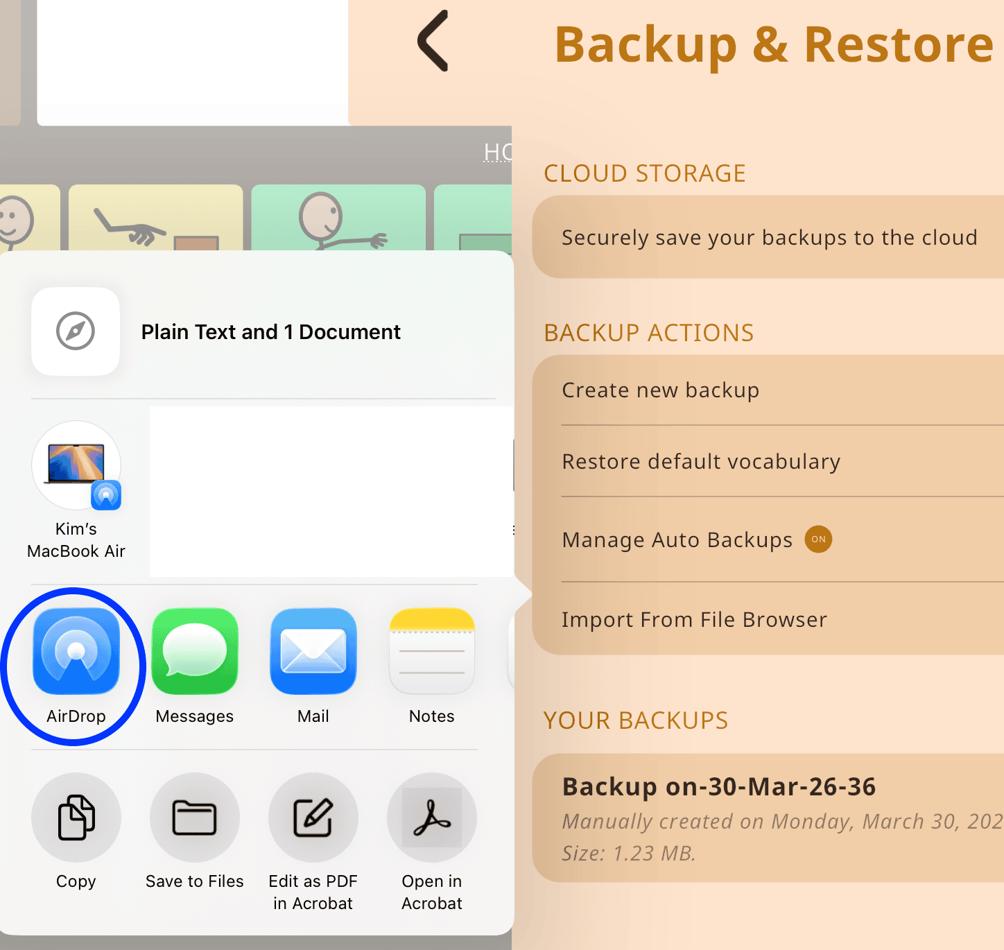Screenshot of iPad share menu with AirDrop highlighted among options like Messages, Mail, and Notes.