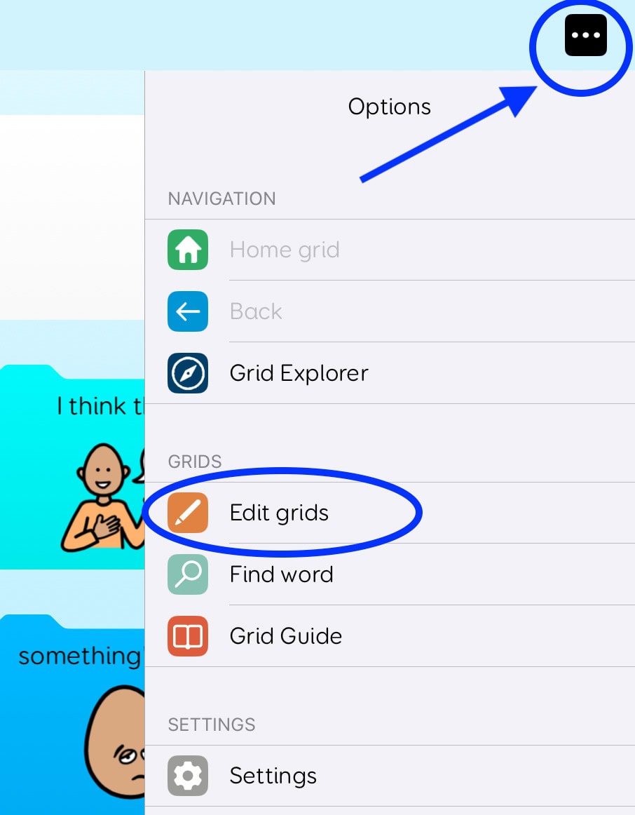 Screenshot of Grid for iPad showing the Options menu with a blue arrow pointing to the three-dot menu icon and “Edit grids” highlighted, indicating where to access grid editing settings.