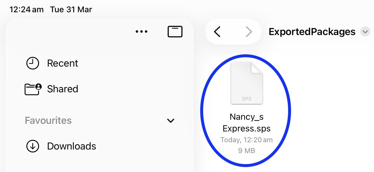 Screenshot of file browser showing file “Nancy_s Express.sps” with file size and timestamp highlighted.